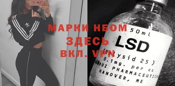 ПСИЛОЦИБИНОВЫЕ ГРИБЫ Горняк