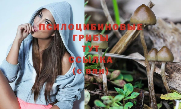 ПСИЛОЦИБИНОВЫЕ ГРИБЫ Горняк
