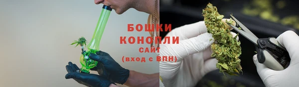 ПСИЛОЦИБИНОВЫЕ ГРИБЫ Горняк