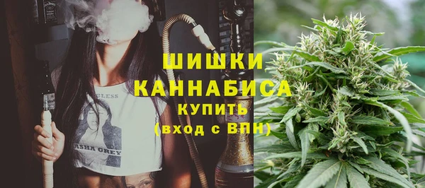 сатива Горно-Алтайск