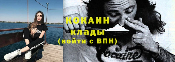ПСИЛОЦИБИНОВЫЕ ГРИБЫ Горняк