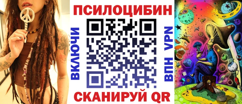 ссылка на мегу как зайти  Великие Луки  Псилоцибиновые грибы Psilocybe 