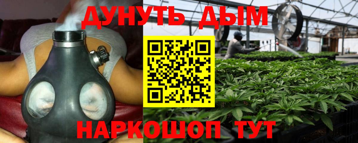 МАРИХУАНА семена  Канабис THC 21%  Великие Луки 